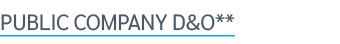 Public Company D&O**