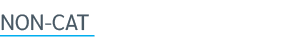 Non CAT 
